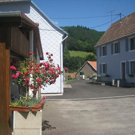Au Pays Welche Holiday home Lapoutroie